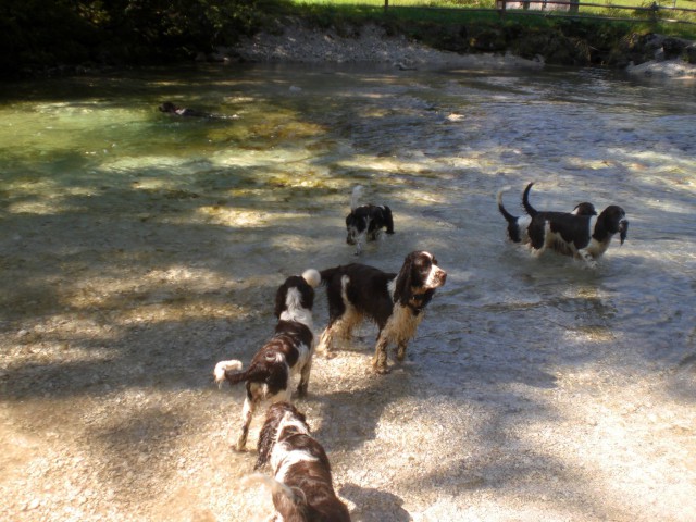 Baden