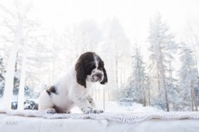 Cute CuriousChelsea