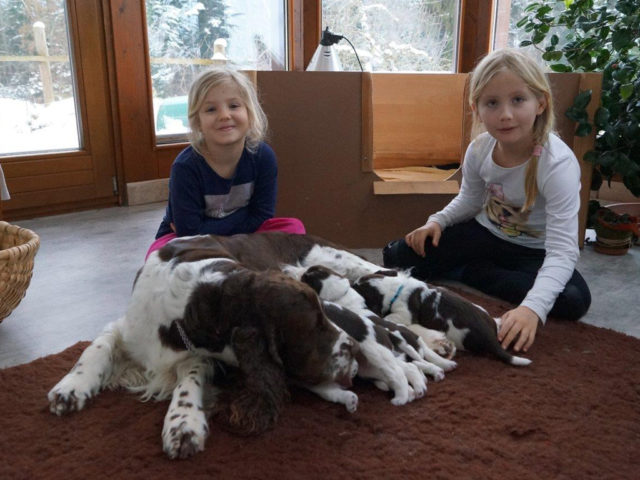Unsere Enkelkinder zu Besuch