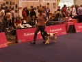 DSC03420 DSC03420