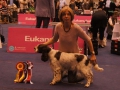 DSC03434 DSC03434