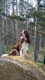 Wandern im Burgenland